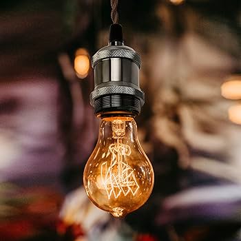 Amazon.co.jp : DiCUNO 1灯用ペンダントソケット 裸電球 E26